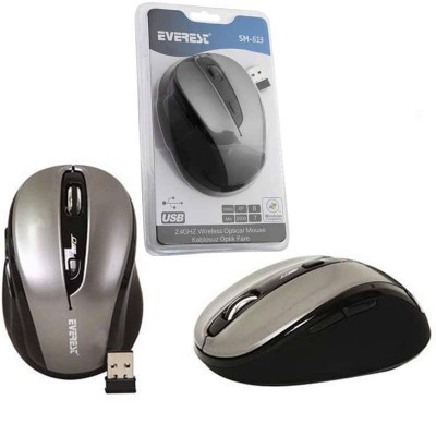 EVEREST SM-613 2.4 GHZ USB SİYAH KABLOSUZ OPTİK MOUSE